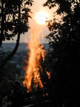 Auf dem Bild ist ein Wald erkennbar wo im Hintergrund Feuer zu sehen ist.